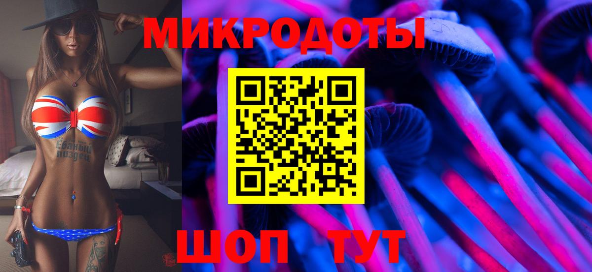 Галлюциногенные грибы Cubensis Алексеевка
